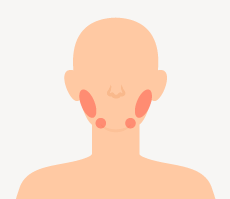 唾液腺（耳下腺・顎下腺）