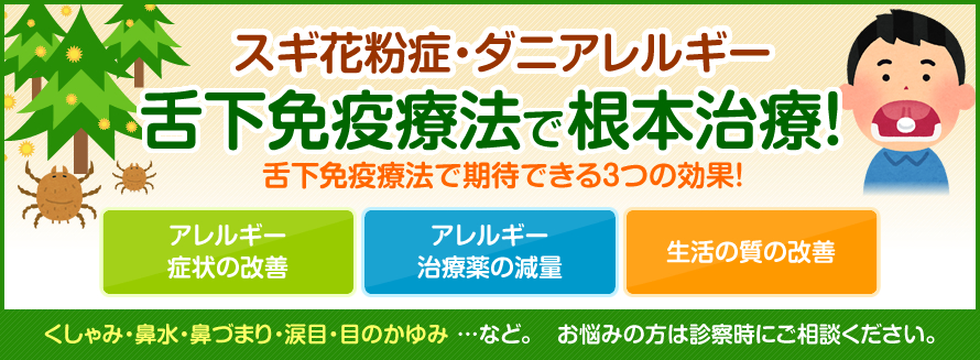 スギ花粉症・ダニアレルギーによるくしゃみ・鼻水・鼻づまり・涙目・目のかゆみは舌下免疫療法で根本治療を。